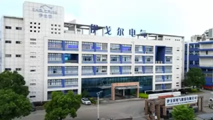 Introduction to Eaglerise